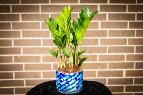 Blue Striped Memorial Planter for Succulents and Plants