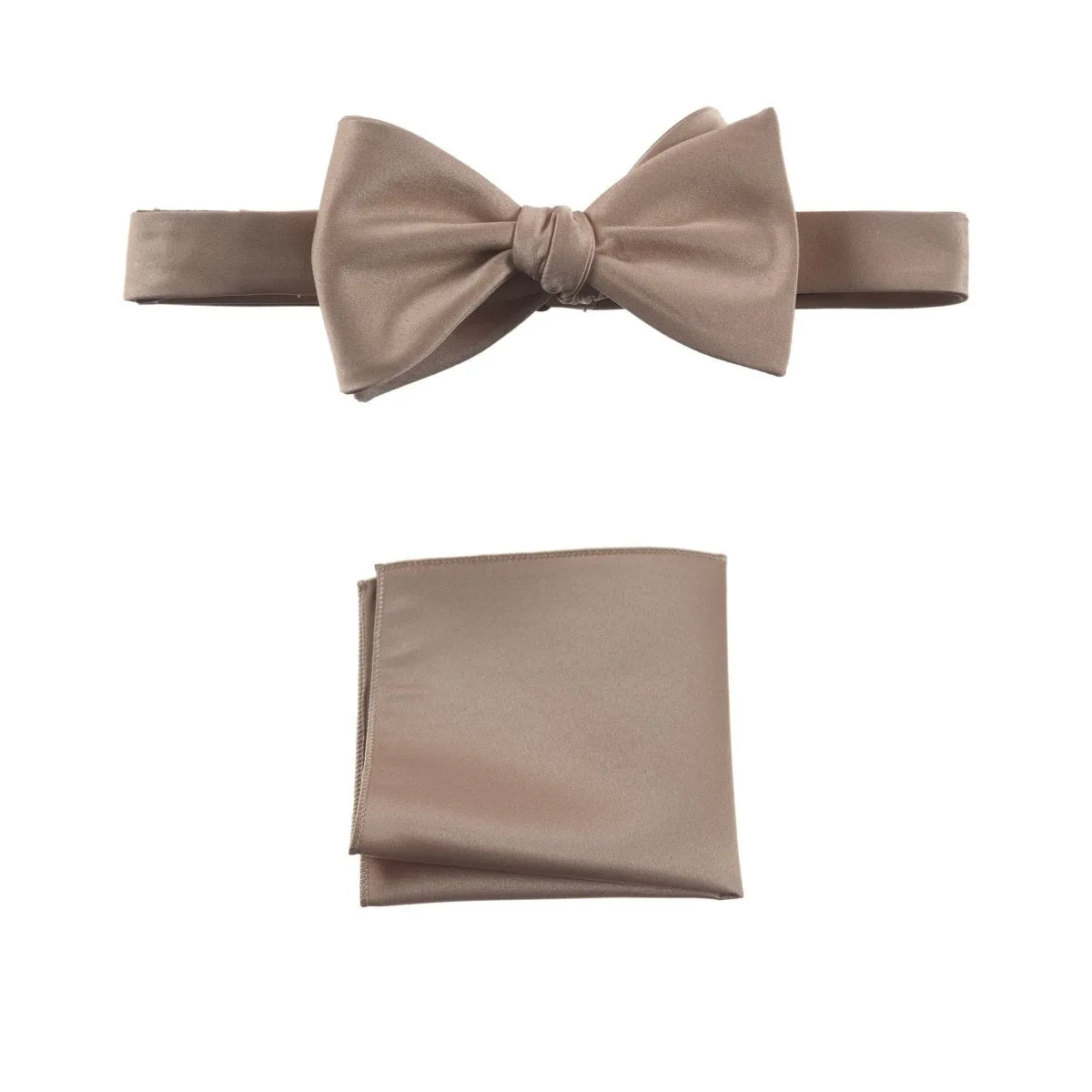 Selftie Bow Tie and Pocket Square Handkerchief Set