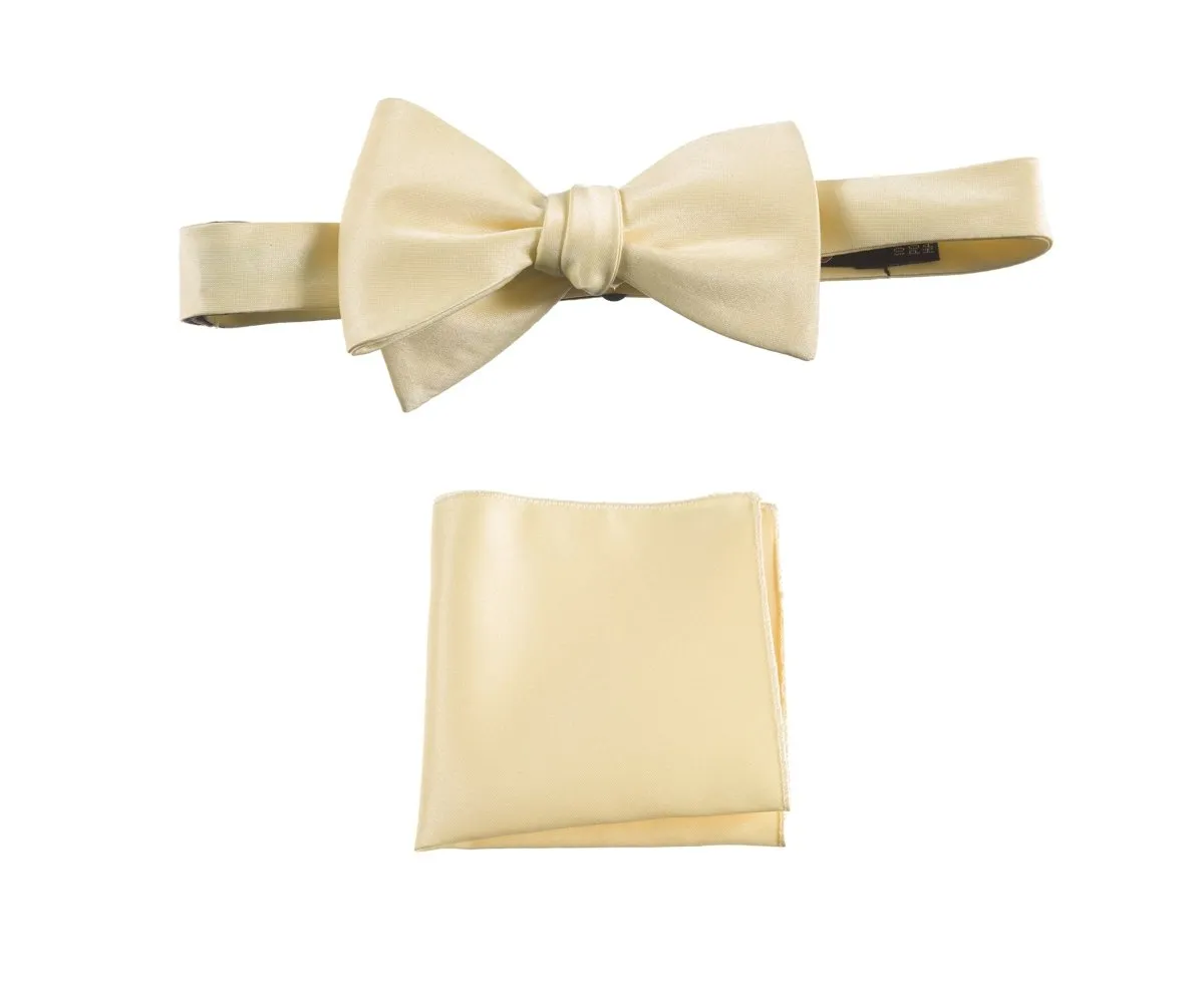 Selftie Bow Tie and Pocket Square Handkerchief Set